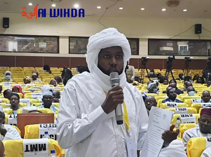 Tchad : Mahamat Egrey, politico-militaire qui avait demandé l'expulsion de Kabadi du DNIS, nommé PCA