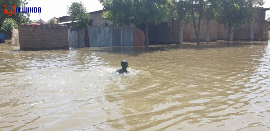 Un habitant nage face à la crue du fleuve, au quartier Djigangali à N'Djamena. © Malick Mahamat/Alwihda Info