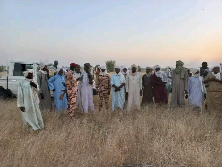 Tchad : un feu de brousse maîtrisé près de Rig-Rig, au Kanem Ouest Tchad : un feu de brousse maîtrisé près de Rig-Rig, au Kanem Ouest