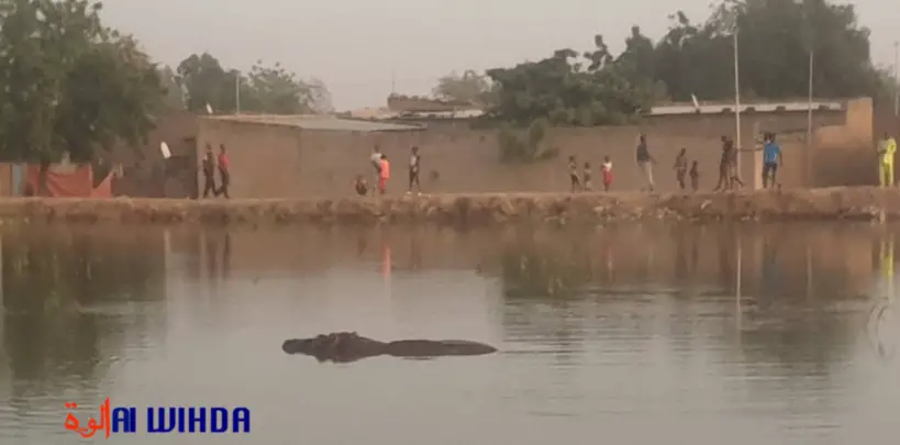 Des inondations à Walia (N'Djamena), en octobre 2022. © Malick Mahamat/Alwihda Info