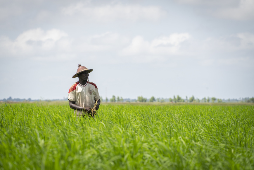 Sénégal : un prêt de plus de 63 millions d’euros pour la mise en place d’une agropole dans quatre régions