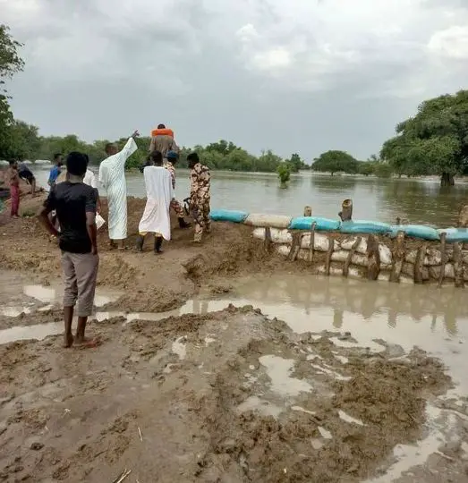 Tchad : les eaux de crue menacent N’Djamena Farah