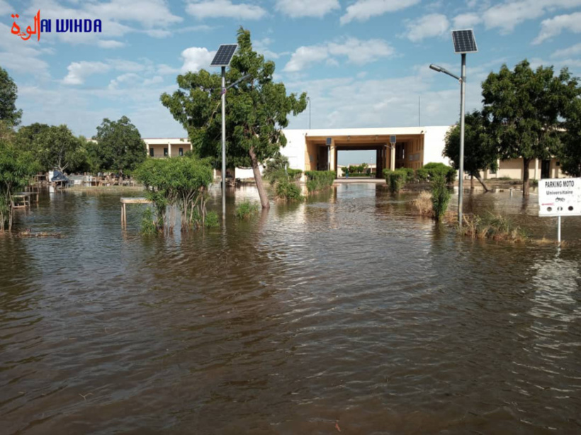 Tchad : inondations au campus universitaire de Toukra Tchad : inondations au campus universitaire de Toukra