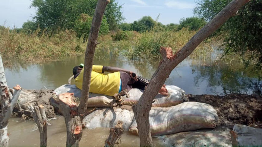 Tchad : des champs et maisons engloutis à Mani Tchad : des champs et maisons engloutis à Mani