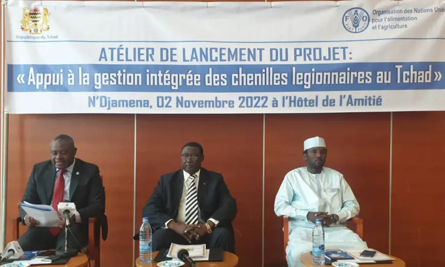 Tchad : chenilles légionnaires, des capacités d’action renforcées contre ces ravageurs