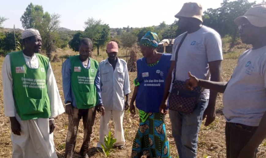 Visite guidée dans les espaces verts en croissance à Ouro Tada. Visite guidée dans les espaces verts en croissance à Ouro Tada.