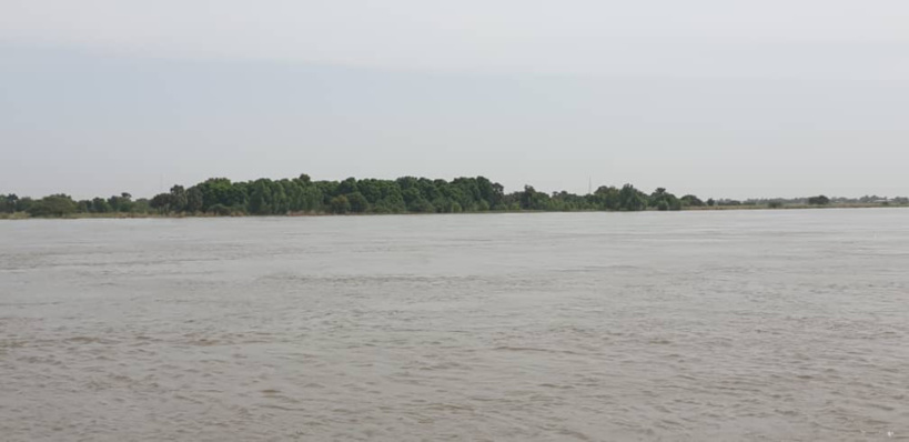 Tchad : drame à Farcha Milezi, un hippopotame a tué 5 personnes dont une femme enceinte. © Alwihda Info Tchad : drame à Farcha Milezi, un hippopotame a tué 5 personnes dont une femme enceinte. © Alwihda Info
