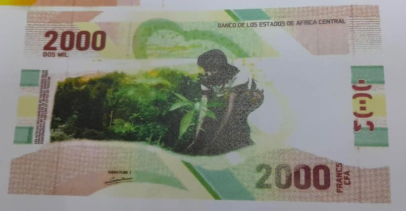 Afrique centrale : bientôt une nouvelle gamme de billets FCFA Afrique centrale : bientôt une nouvelle gamme de billets FCFA