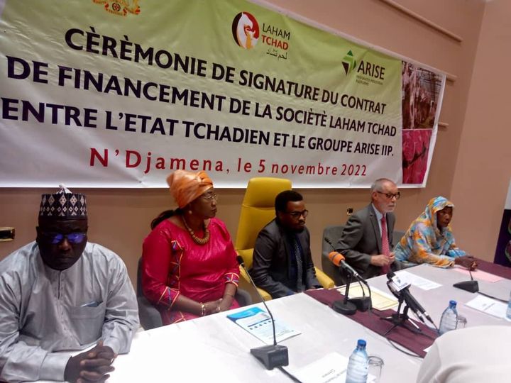 Tchad : un plan ambitieux de développement de la filière bétail-viande Tchad : un plan ambitieux de développement de la filière bétail-viande