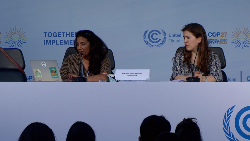 "Les dirigeants africains doivent défendre les populations du continent qui souffrent des dommages climatiques"
