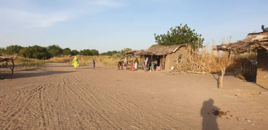 Tchad : 4 blessés dans un conflit agriculteurs-éleveurs dans le département de Dourbali