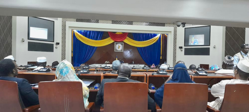 Tchad : les nouveaux membres du CNT installés Tchad : les nouveaux membres du CNT installés