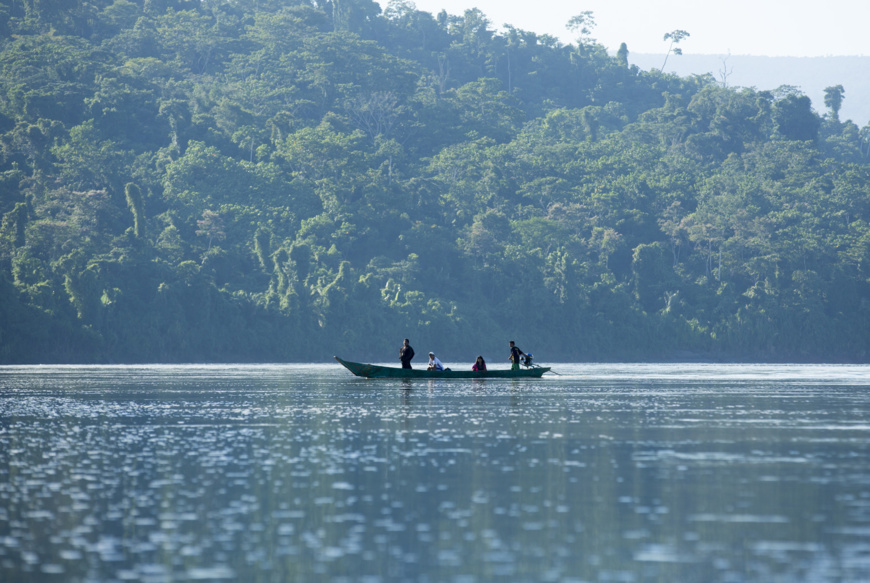 Journée sur l'énergie de la COP27 : les forêts africaines dans la ligne de mire de l'expansion du pétrole. Illustration © DR Journée sur l'énergie de la COP27 : les forêts africaines dans la ligne de mire de l'expansion du pétrole. Illustration © DR