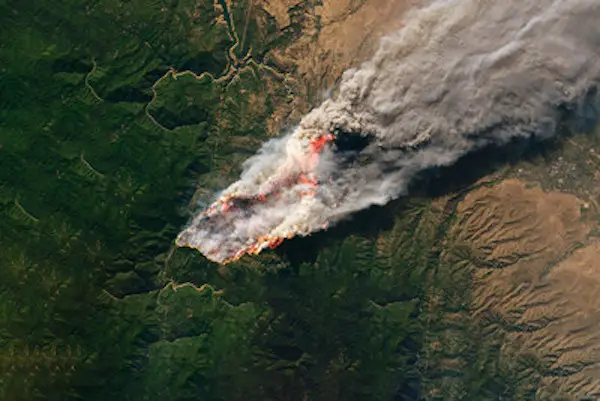 L'augmentation des feux de forêt constitue un risque de permanence pour les marchés mondiaux du carbone