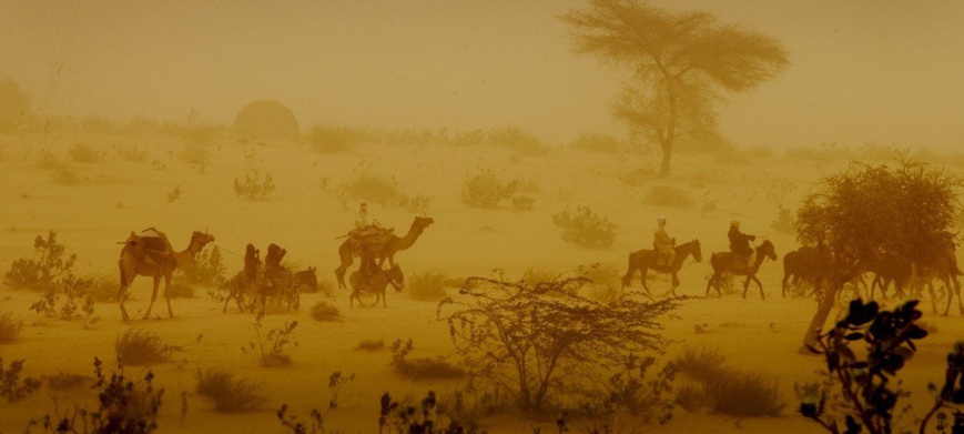 Des hommes traversent une tempête de sable à dos de chameaux et d'ânes près de la ville de Mao, dans la région de Kanem au Tchad. © UNICEF/UNI82205/Holt