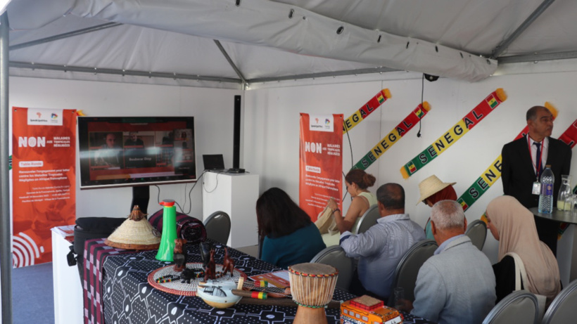 La communauté francophone de la santé appelle à accélérer les actions pour éliminer les maladies tropicales négligées La communauté francophone de la santé appelle à accélérer les actions pour éliminer les maladies tropicales négligées