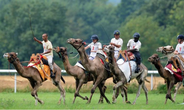 Tchad : Un champion de France participera à la course de dromadaire de Fada