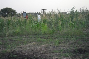 Tchad - Immobilier: Louer, acheter, vendre Tchad - Immobilier: Louer, acheter, vendre