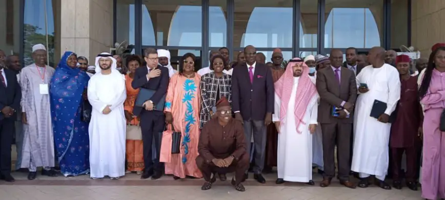 Tchad : 14ème assemblée générale annuelle de l'organisation des services géologiques africains