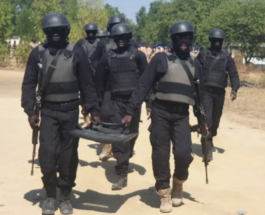 Tchad : 35 gendarmes formés en matière de lutte contre le terrorisme