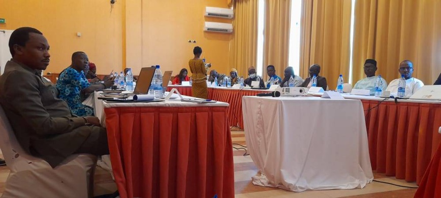 Tchad : l'UNFPA outille des journalistes sur les stratégies de communication humanitaire Tchad : l'UNFPA outille des journalistes sur les stratégies de communication humanitaire