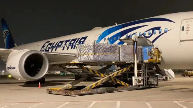 A batch of COVID-19 vaccines donated by the Chinese government to the Egyptian government arrive at the Cairo International Airport, Egypt. Nov. 1, 2021. (Photo courtesy of the Chinese Embassy in Egypt.)