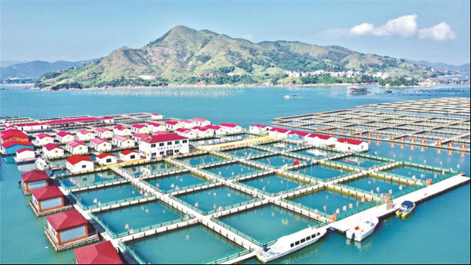 Photo shows a fish farm in Xi'nan township, Puxia county, Ningde city, southeast China's Fujian Province. (Photo/Fujian Daily)