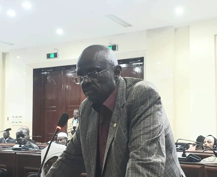 Tchad : "c'est l'ancien comportement de la défunte DDS qui sévit encore", Doki Warou
