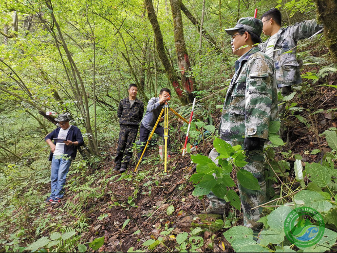 Ecological investigators use technical methods in forest monitoring in northwest China's Gansu province in 2022. (Photo from the website of the forest protection center of Xiaolong Mountain, northwest China's Gansu province)