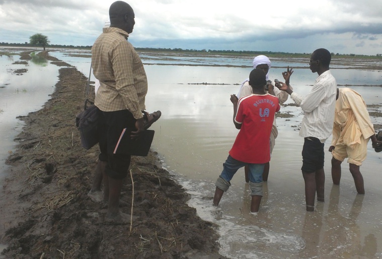 Les déguerpis de Ngueli ou les omis de la capitale ? Djimet Wiche/Alwihda Info Les déguerpis de Ngueli ou les omis de la capitale ? Djimet Wiche/Alwihda Info