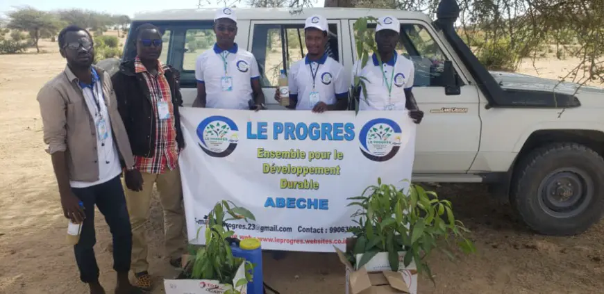 Tchad : au Ouaddaï, un groupement renforce la capacité des producteurs du village Ngatar