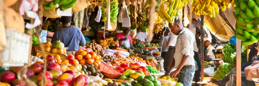 Union africaine : les États membres s'engagent à renforcer la nutrition et la sécurité alimentaire en Afrique