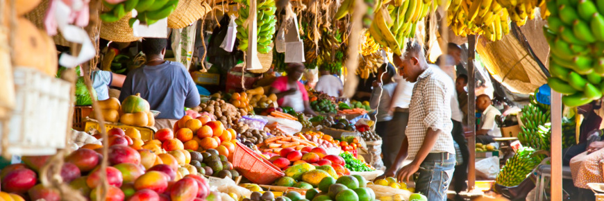 Union africaine : les États membres s'engagent à renforcer la nutrition et la sécurité alimentaire en Afrique Union africaine : les États membres s'engagent à renforcer la nutrition et la sécurité alimentaire en Afrique