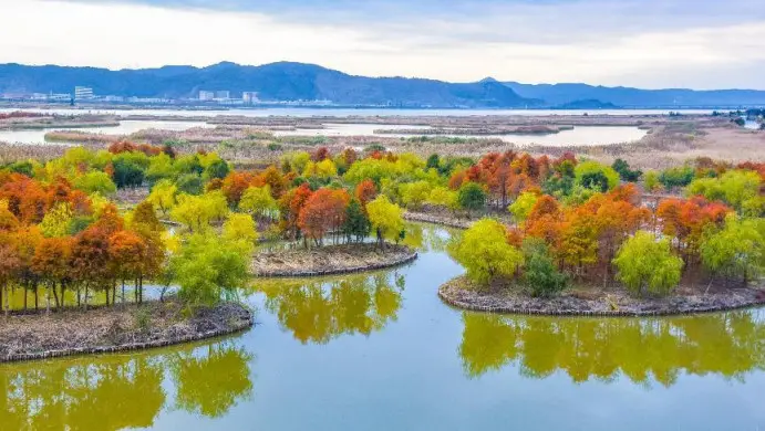 Photo taken on Feb. 20, 2022 shows a picturesque view in a wetland park in Yuhuan, east China's Zhejiang province. (Photo by Wu Xiaohong/People's Daily Online)