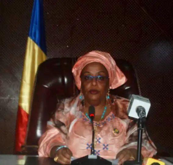 Tchad : journée d'information au CNT sur la compréhension de la loi des finances