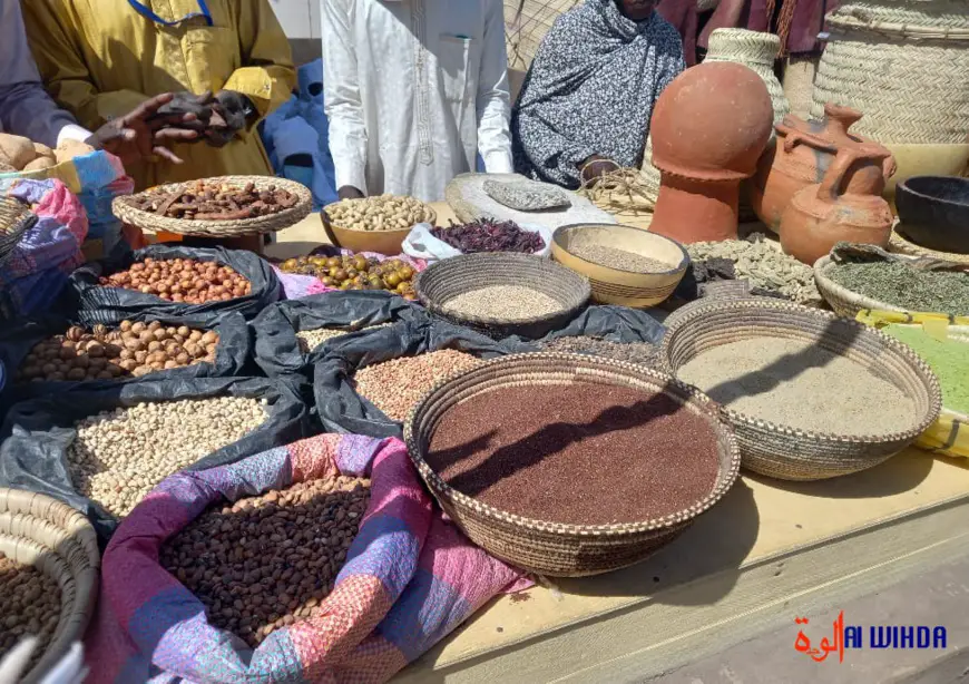 Tchad : l'art culinaire du Batha présenté au Festival Dary