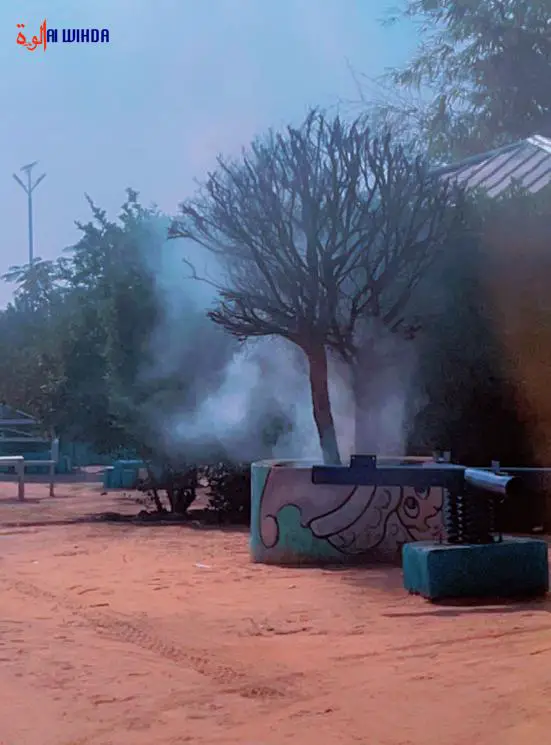 Tchad : un essaim d'abeilles attaque des enfants au centre de loisirs de Koundoul