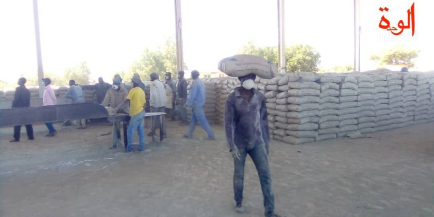 Tchad : des techniciens de la cimenterie de Baoré inquiets d'une possible réduction d'effectifs Tchad : des techniciens de la cimenterie de Baoré inquiets d'une possible réduction d'effectifs