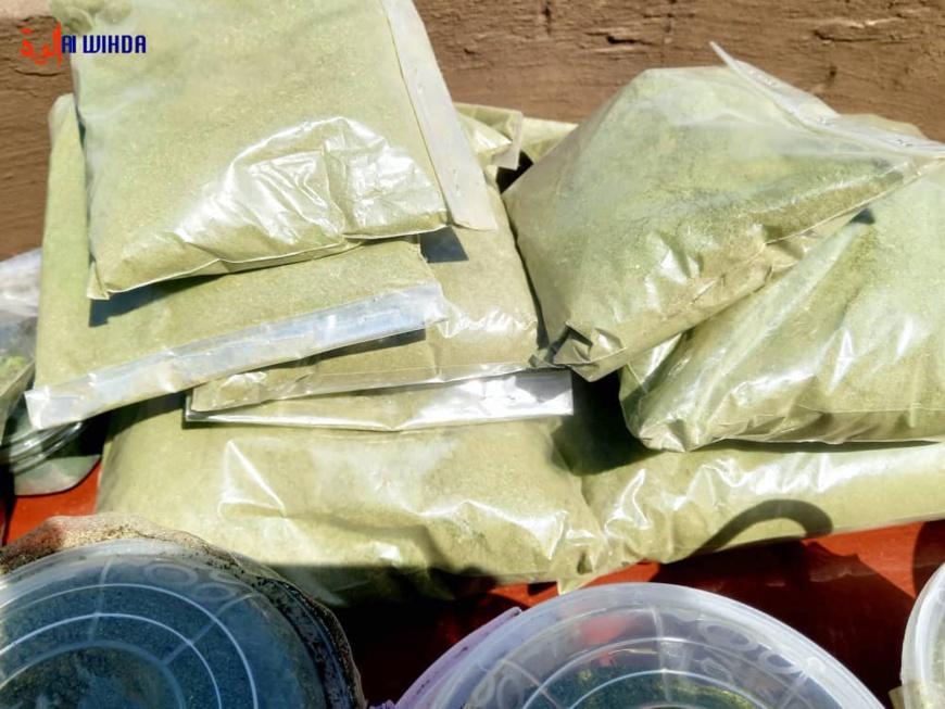 Festival Dary : la province du Kanem met en valeur ses produits locaux Festival Dary : la province du Kanem met en valeur ses produits locaux