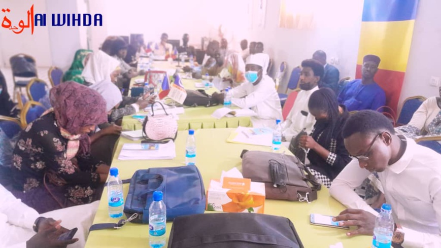 Tchad : "comment prévenir et gérer les conflits ?", le CEDPE outille 40 jeunes