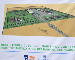 Tchad : Un nouveau complexe industriel va générer plus de 600 emplois