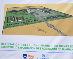 Tchad : Un nouveau complexe industriel va générer plus de 600 emplois Tchad : Un nouveau complexe industriel va générer plus de 600 emplois