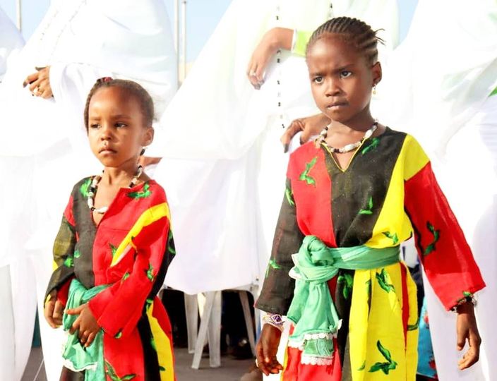 Tchad : le Kanem met en avant ses danses et produits locaux au Festival Dary Tchad : le Kanem met en avant ses danses et produits locaux au Festival Dary
