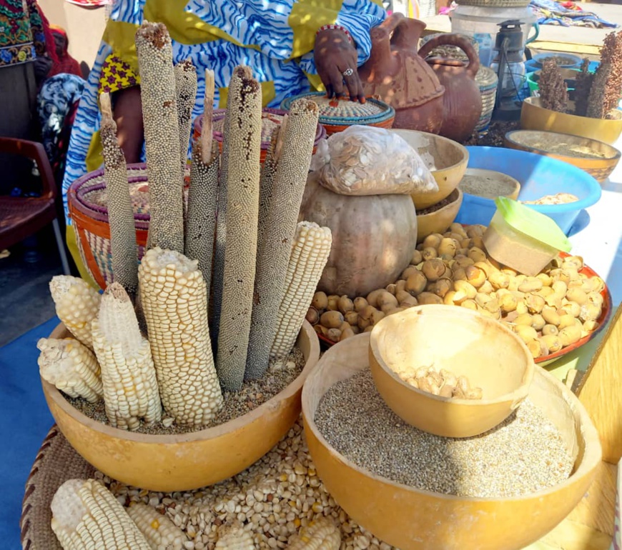 Des produits de la province du Chari-Baguirmi exposés au Festival Dary. © Abakar Adoum N'Gaye/Alwihda Info Des produits de la province du Chari-Baguirmi exposés au Festival Dary. © Abakar Adoum N'Gaye/Alwihda Info