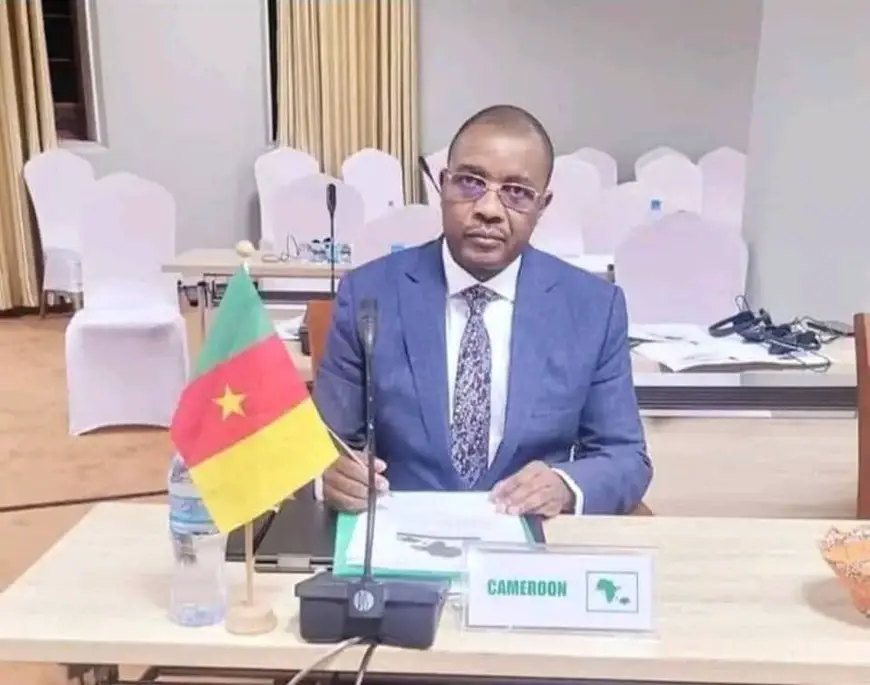 Cameroun : décès du ministre des Mines, Gabriel Dodo Ndoke