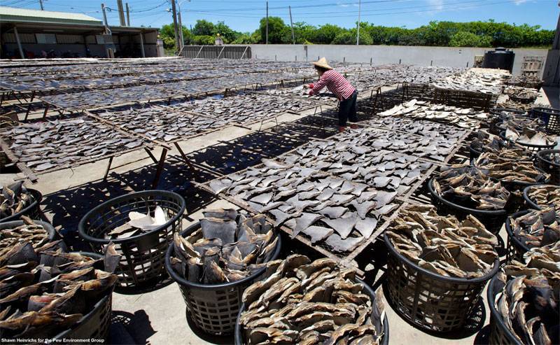 Criminalité environnementale : l’Afrique proche de l’hécatombe Criminalité environnementale : l’Afrique proche de l’hécatombe