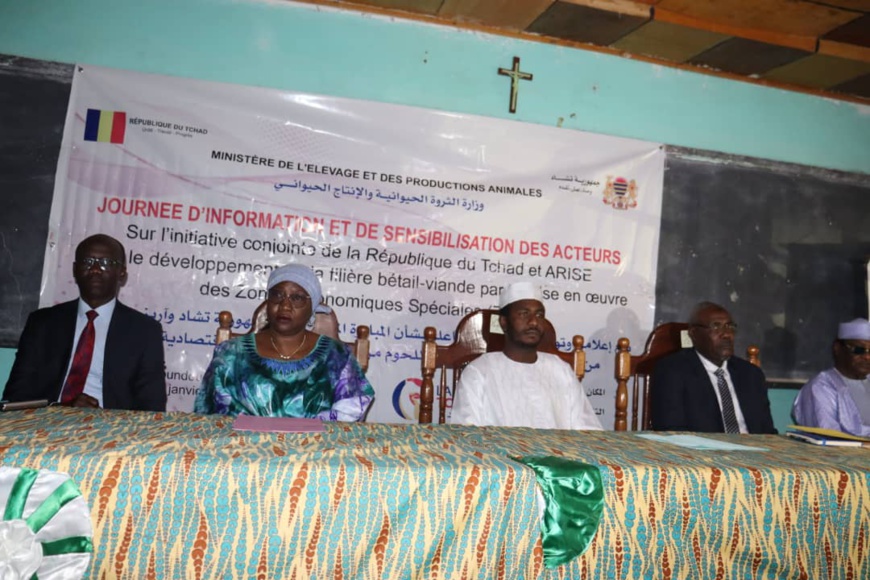 Tchad : future zone économique spéciale à Moundou, une aubaine pour des opportunités d'investissement