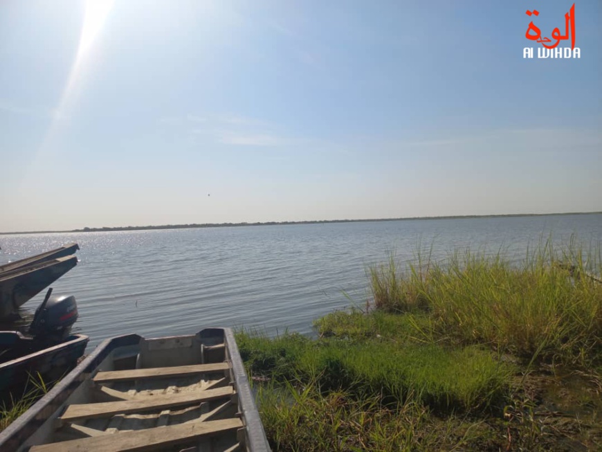 Les rives du Lac Tchad. Illustration © Alwihda Info/archives