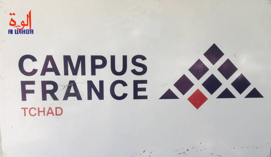 Campus France : 1400 étudiants tchadiens admis dans l'enseignement supérieur pour 2022-2023 Campus France : 1400 étudiants tchadiens admis dans l'enseignement supérieur pour 2022-2023