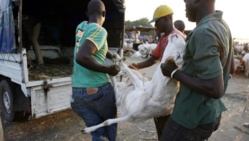 Tchad: la Tabaski au bonheur des clients